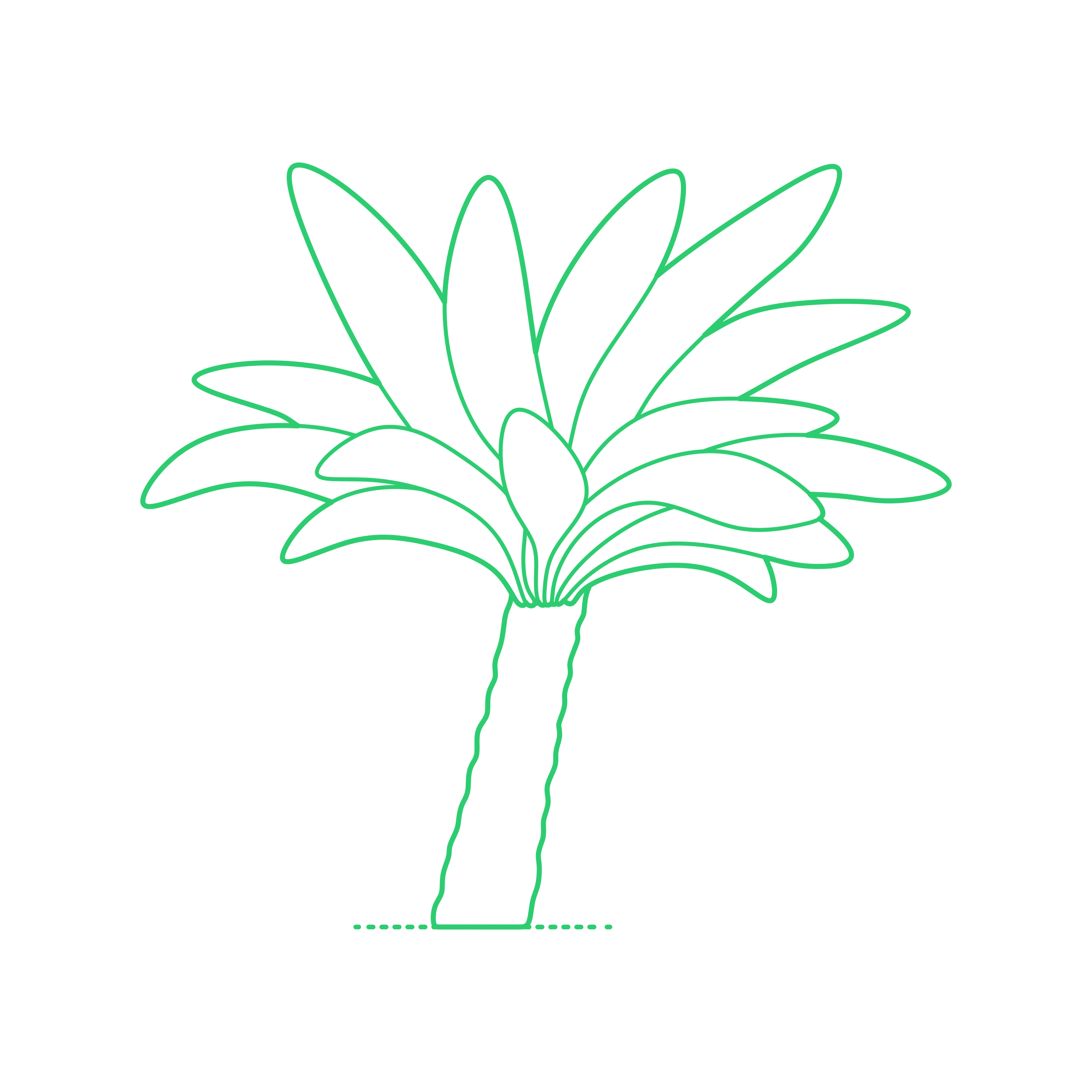 Plants Cycads Queen Sago Vinyl Svg File Free Vectors